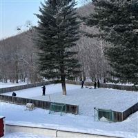 Каток